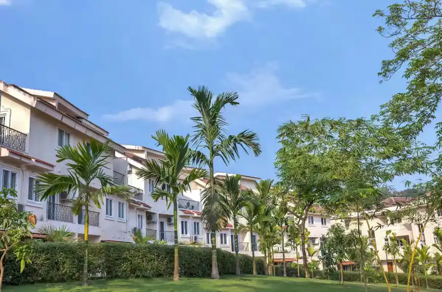 Cavalo Marinho, North Goa
