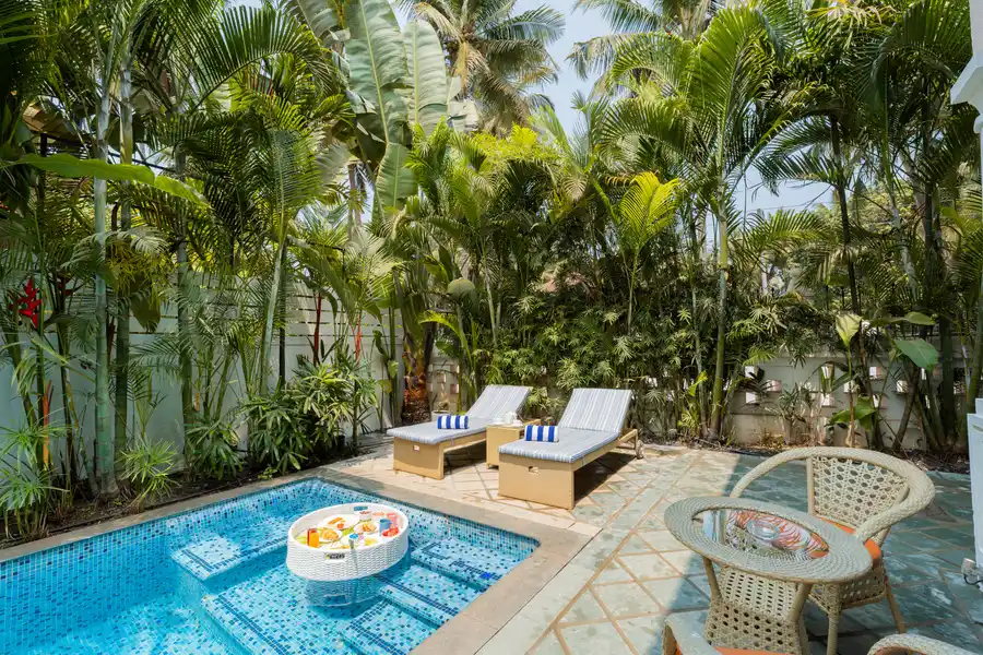 Celest, North Goa