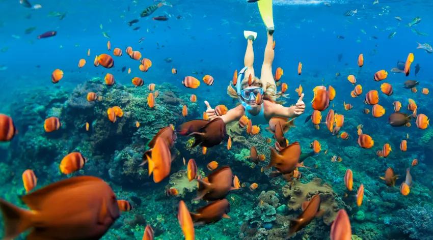 Centara Ras Fushi Resort & Spa Maldives Experiences