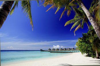 Centara Ras Fushi Resort & Spa Maldives Views