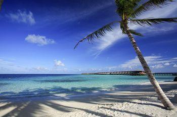 Centara Ras Fushi Resort & Spa Maldives Views