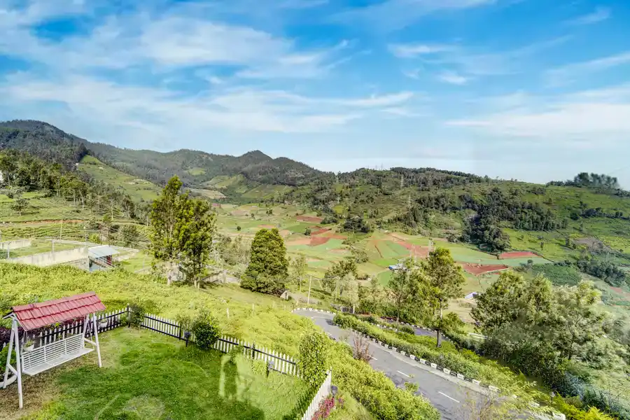 Cleft, Ooty