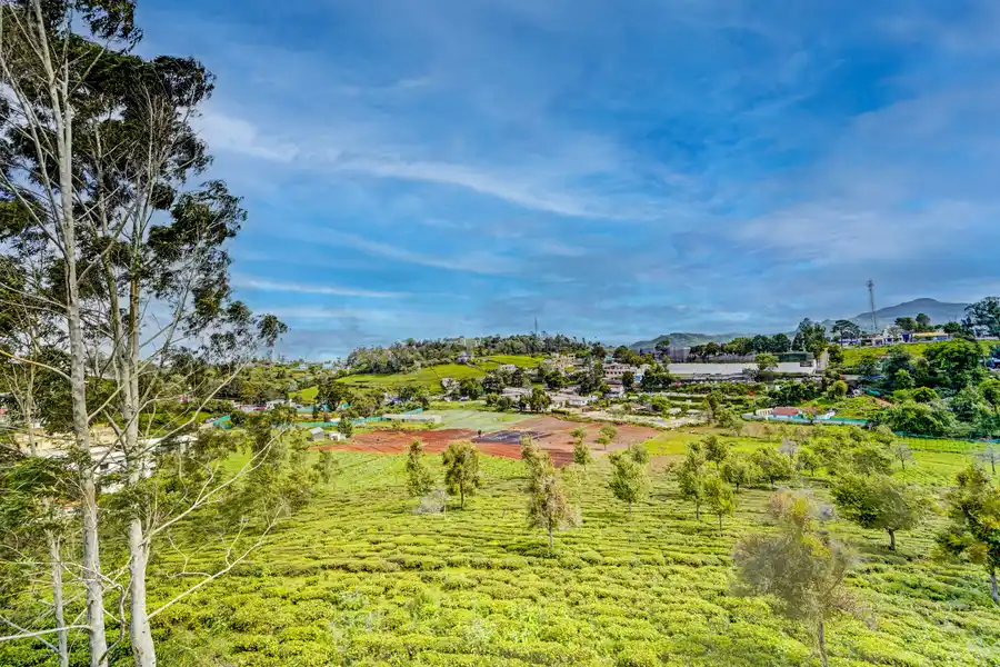 Cleft, Ooty