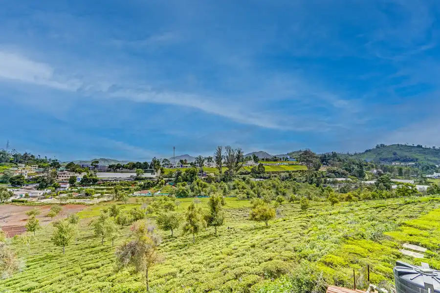 Cleft, Ooty