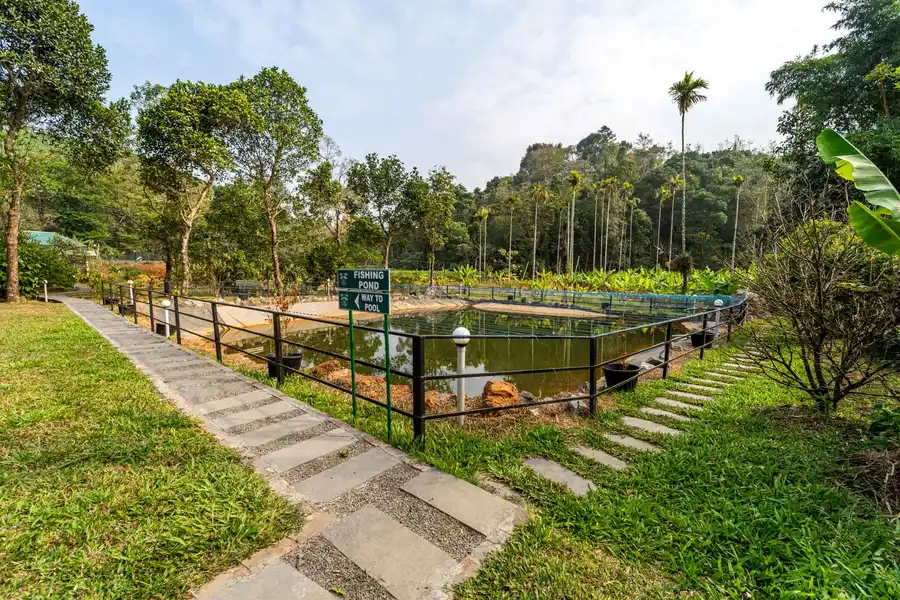 Comfort Rooms @ Princess of Wayanad, Wayanad