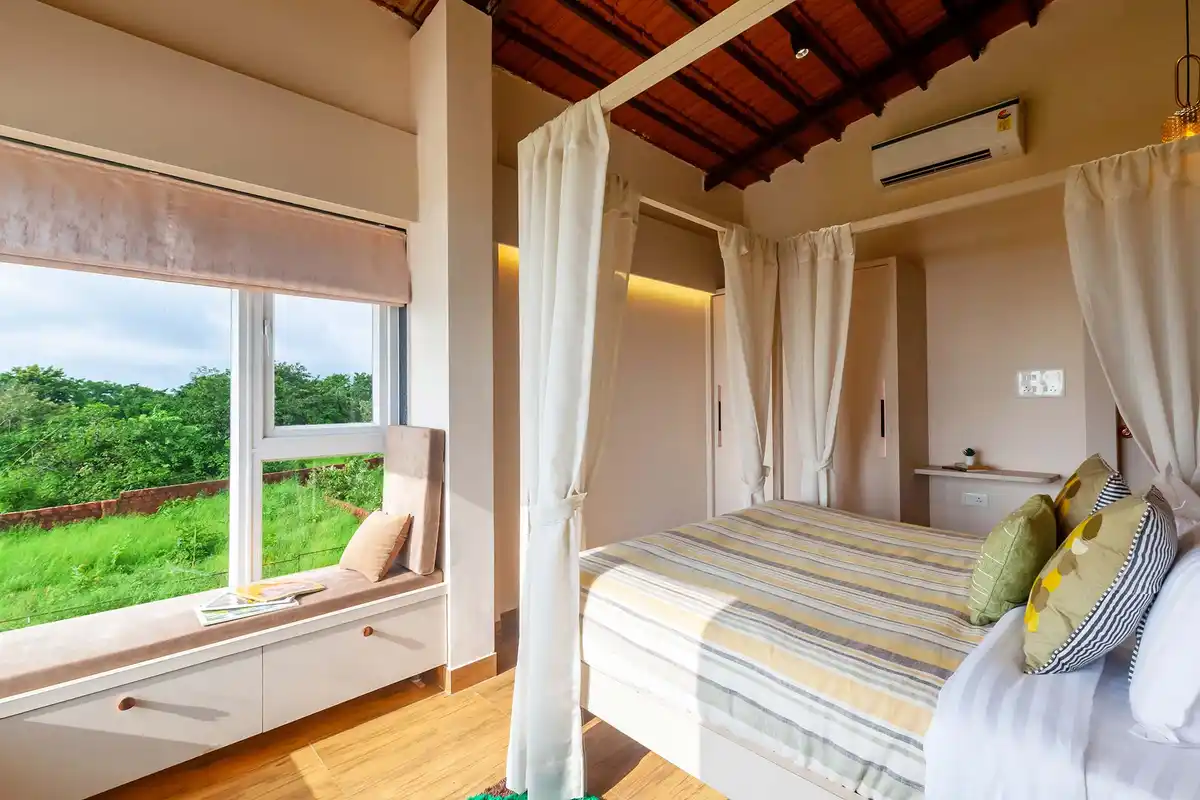 Coral Breeze, Dapoli