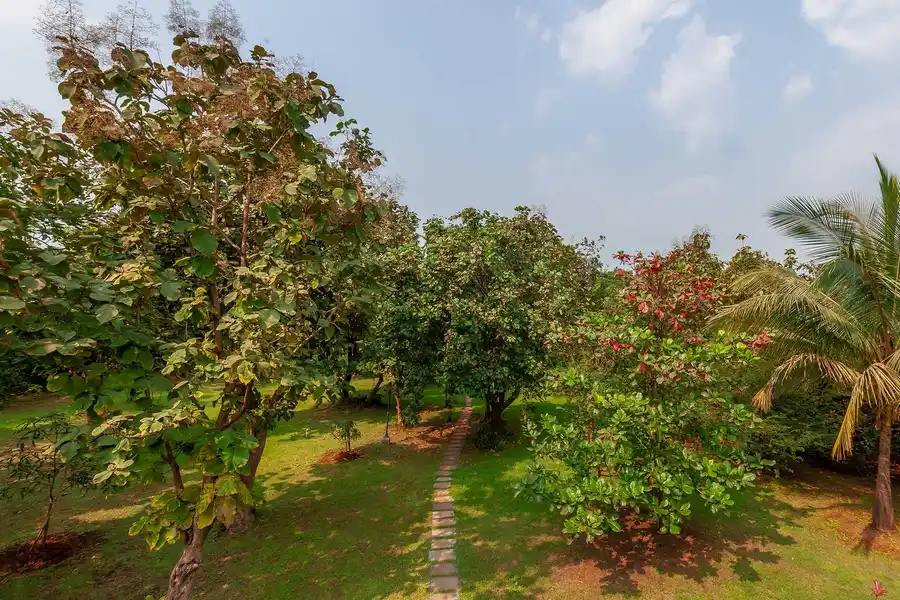 Crete, Karjat