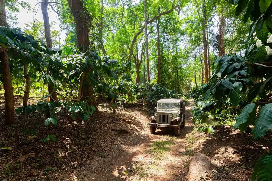 Crystal Homestay, Coorg
