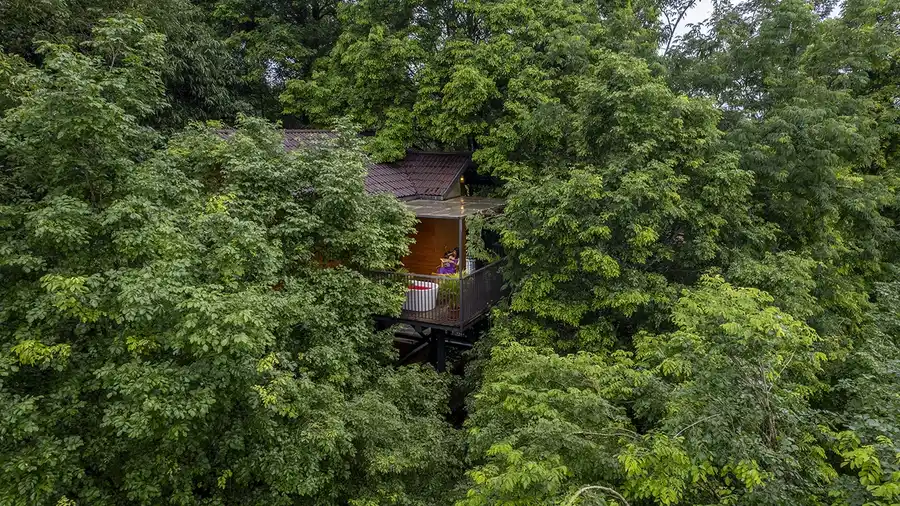 Crystal Kuruva Nature Resort & Spa Views