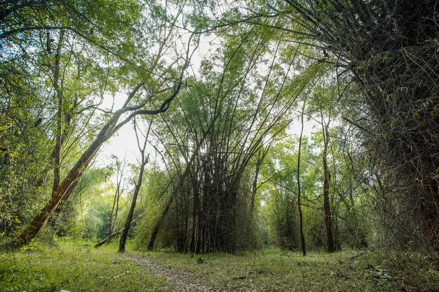 Crystal Kuruva Nature Resort & Spa Views