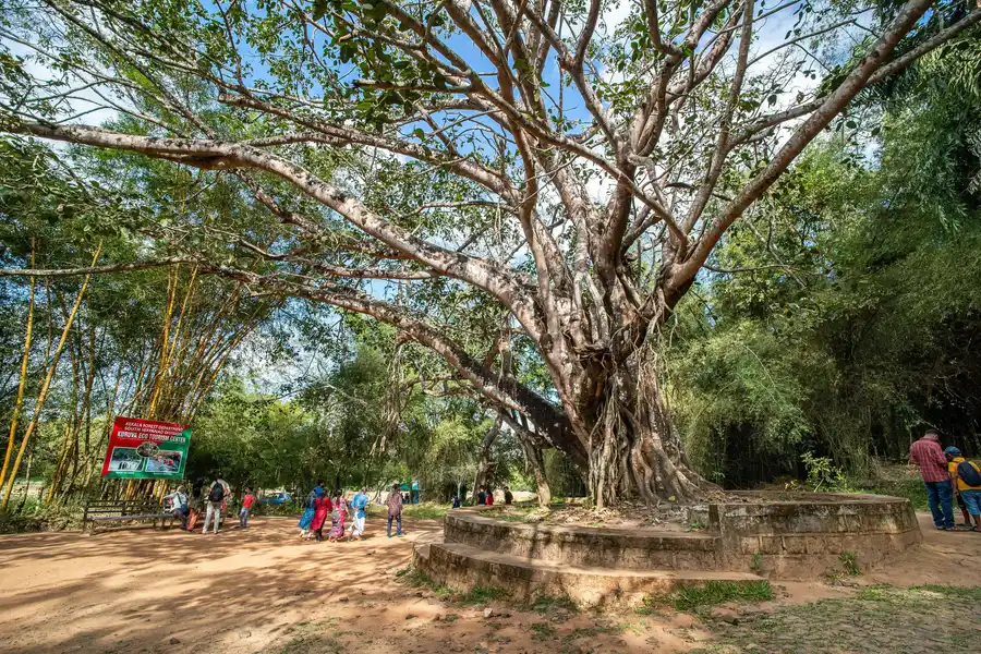 Crystal Kuruva Nature Resort & Spa Views