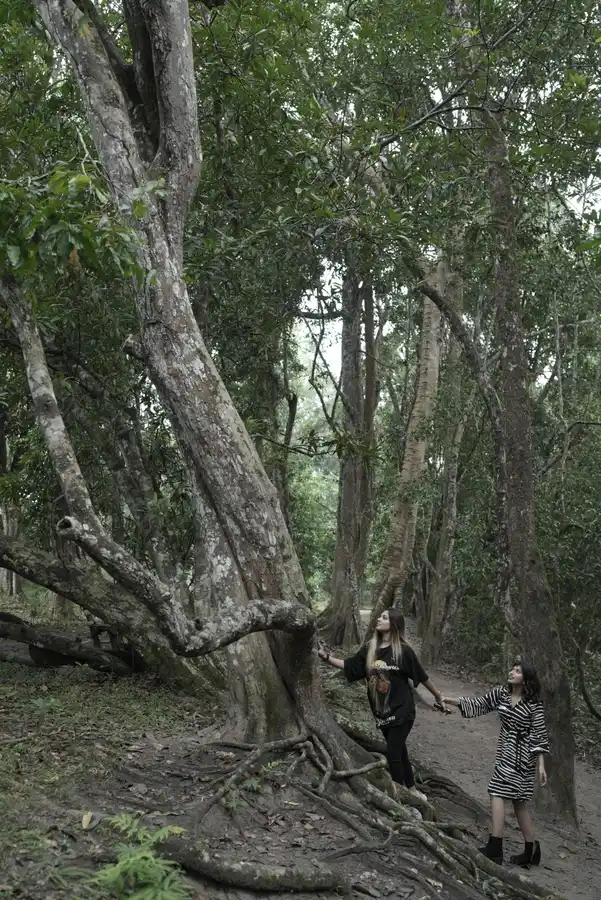 Crystal Kuruva Nature Resort & Spa Views