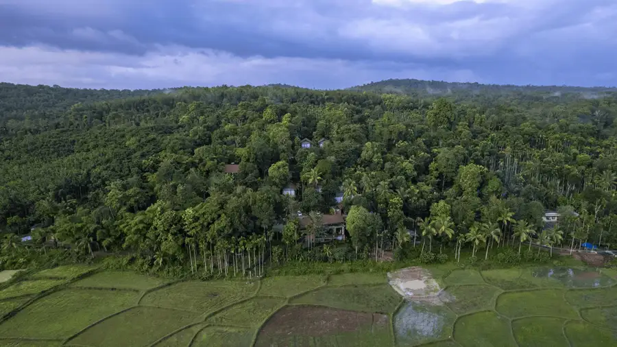 Crystal Kuruva Nature Resort & Spa Views