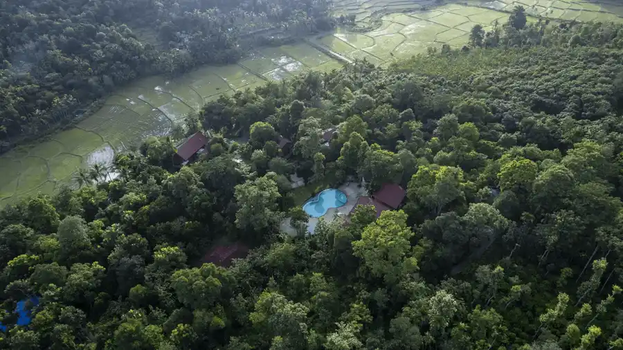Crystal Kuruva Nature Resort & Spa Views