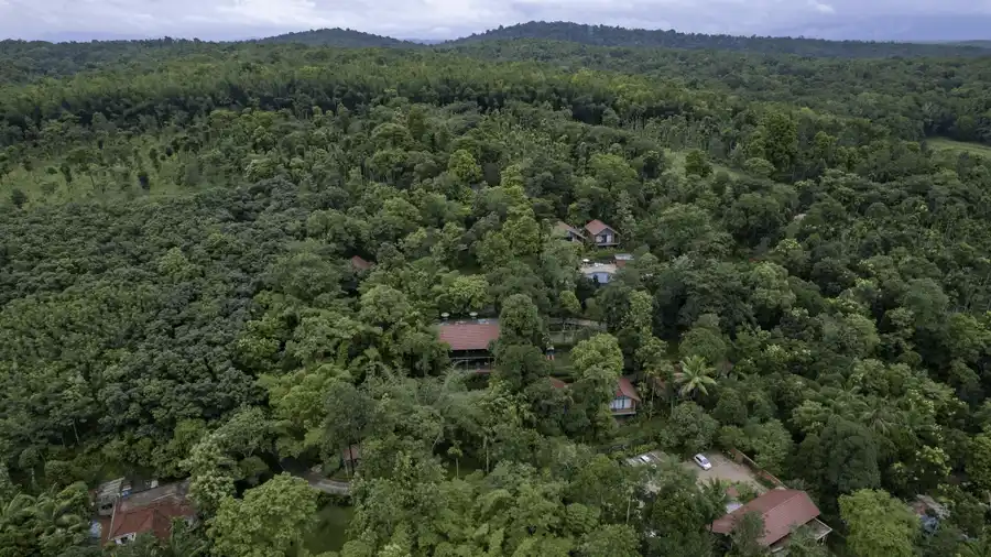 Crystal Kuruva Nature Resort & Spa Views