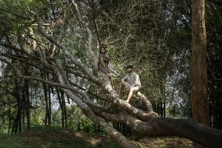 Crystal Kuruva Nature Resort & Spa Views
