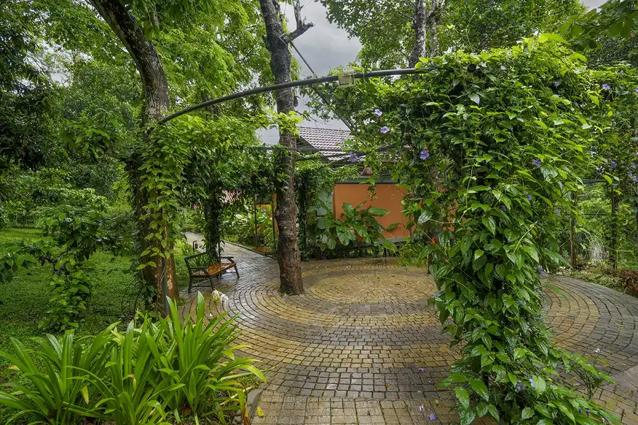 Crystal Kuruva Nature Resort & Spa Garden
