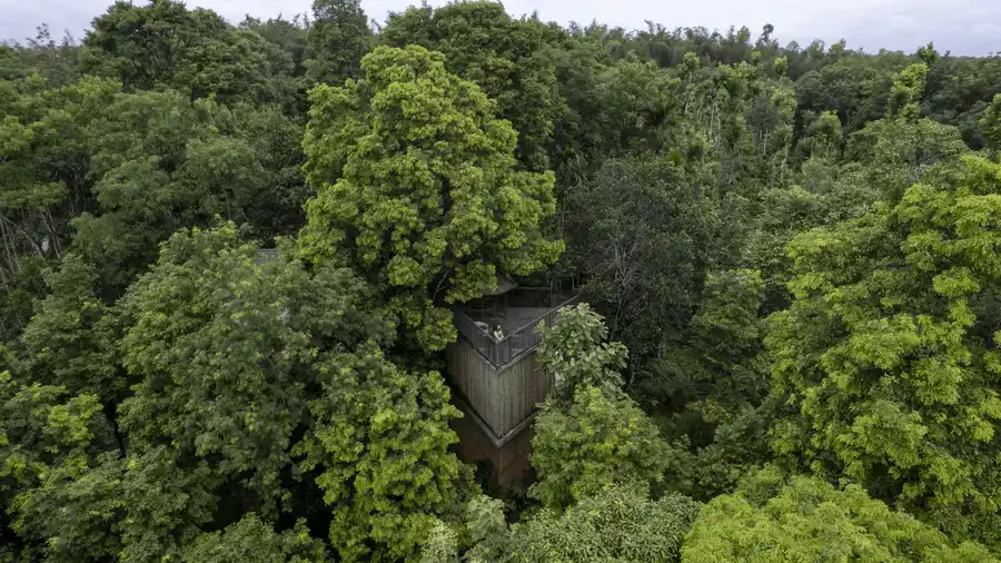 Crystal Kuruva Nature Resort & Spa Others