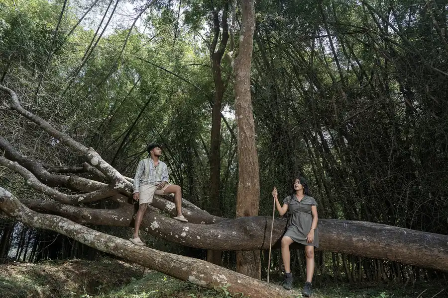 Crystal Kuruva Nature Resort & Spa Others