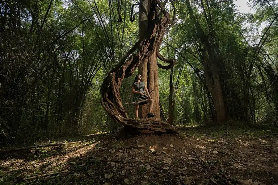 Crystal Kuruva Nature Resort & Spa Others
