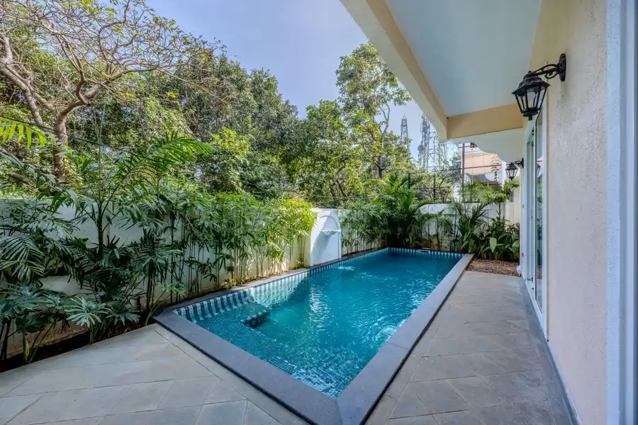 Cygnus, North Goa