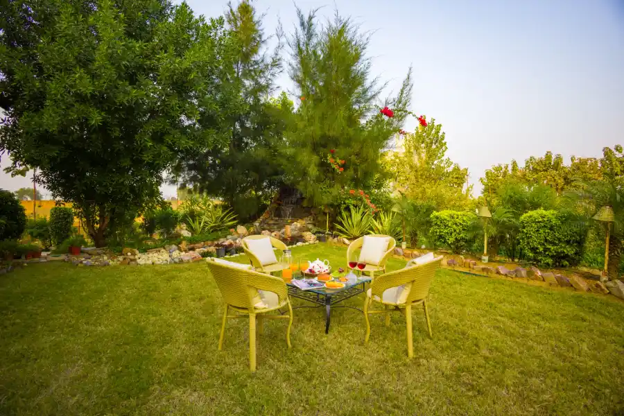 Dacha, Delhi NCR