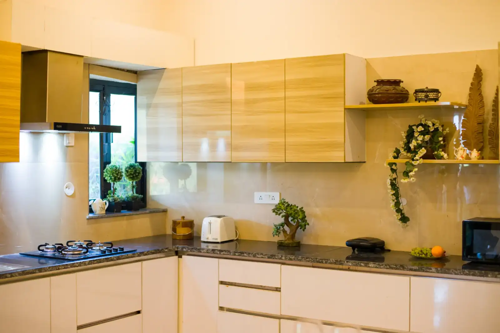 Dacha, Delhi NCR