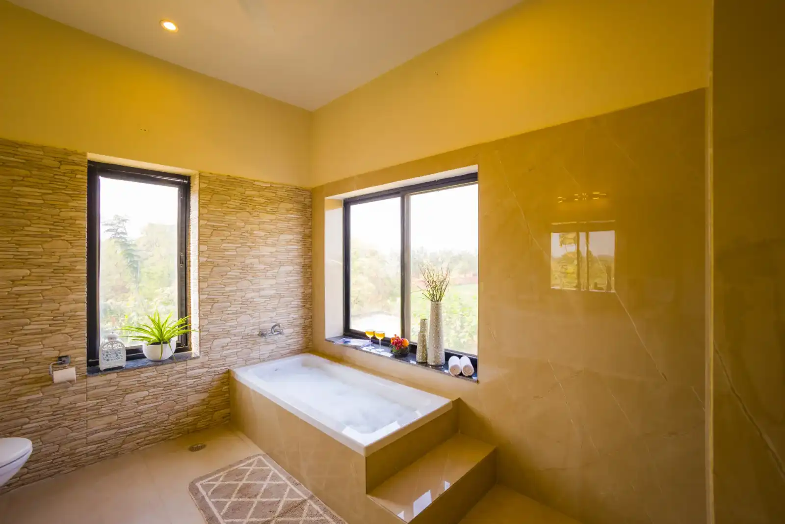 Dacha, Delhi NCR