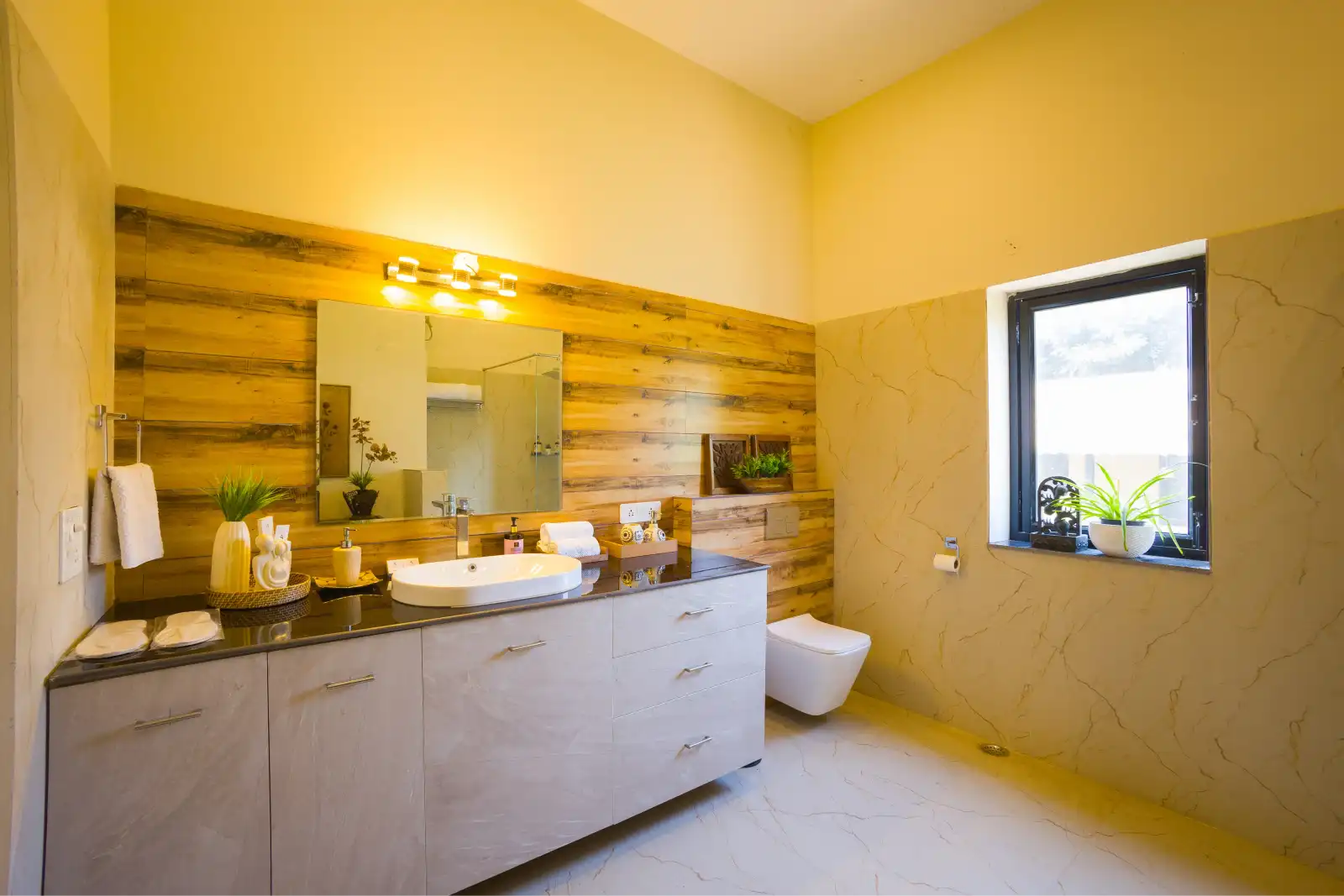 Dacha, Delhi NCR
