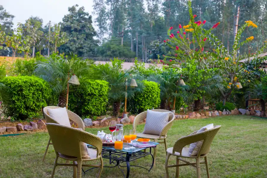 Dacha, Delhi NCR