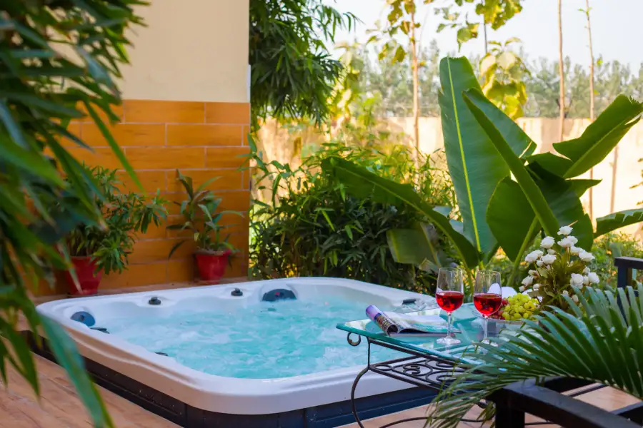 Dacha, Delhi NCR