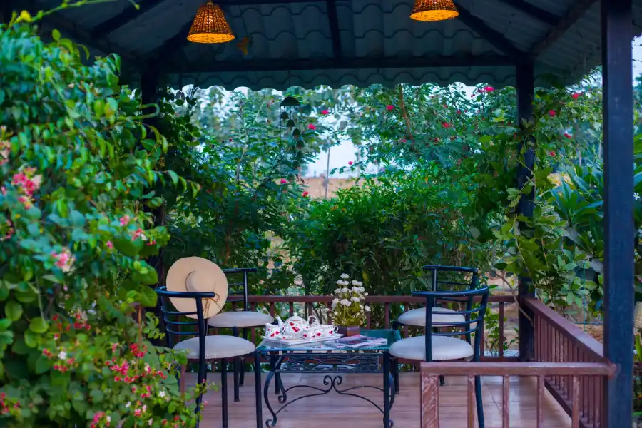 Dacha, Delhi NCR