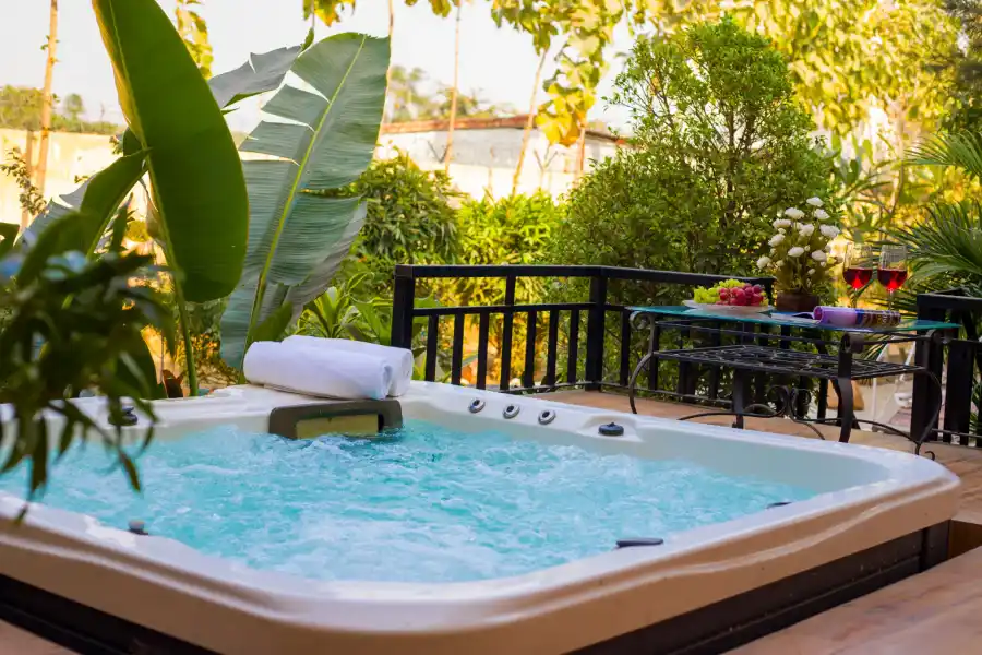 Dacha, Delhi NCR