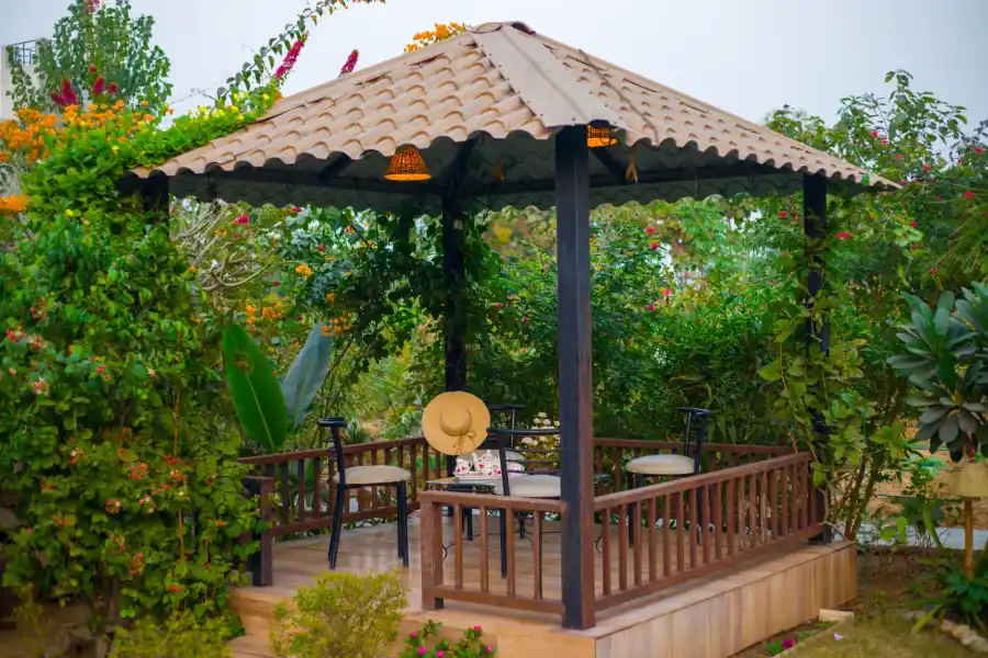Dacha, Delhi NCR