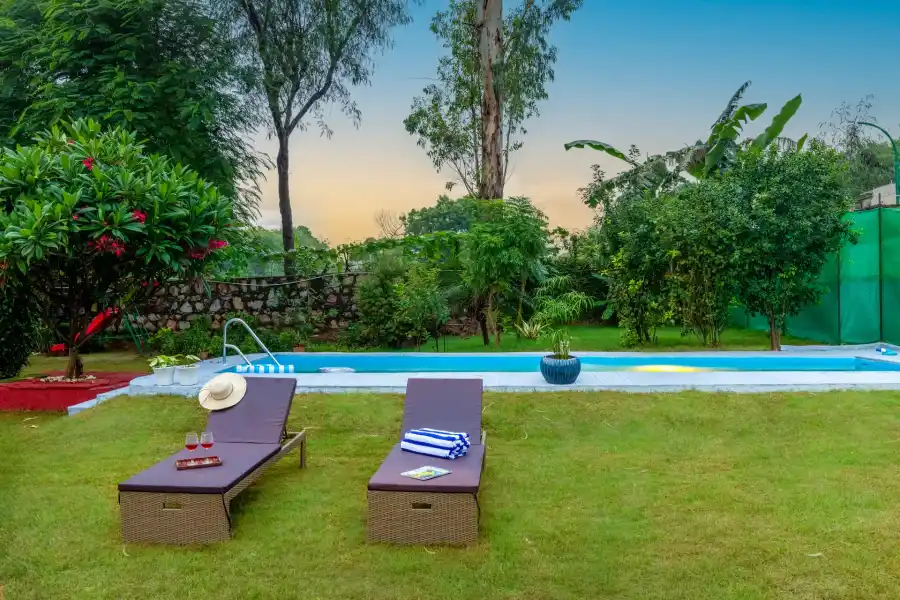 Daffodil, Delhi NCR
