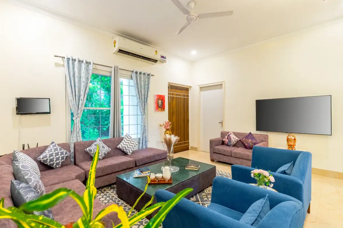 Daffodil, Delhi NCR