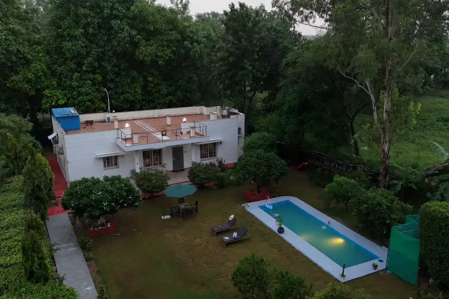 Daffodil, Delhi NCR