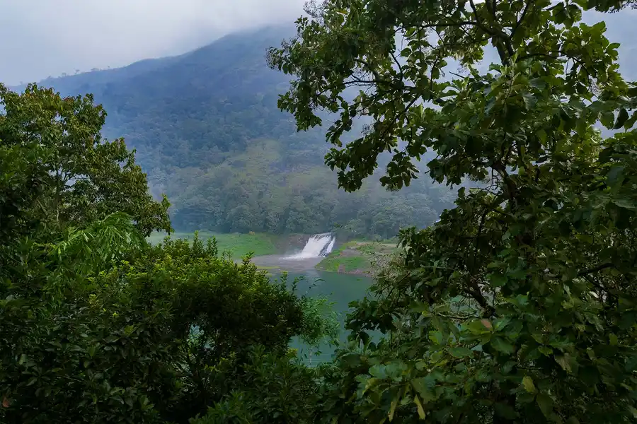 Dawnlight, Thekkady