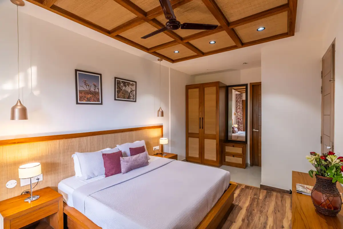 Dream Haus, Kasauli