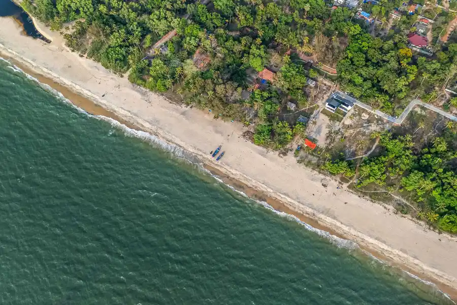 Dynast - By the Beach, Alleppey