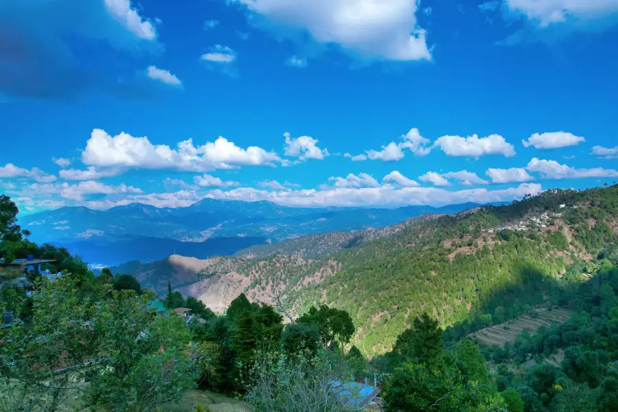 Edelweiss Estate: Bluebell House, Ranikhet