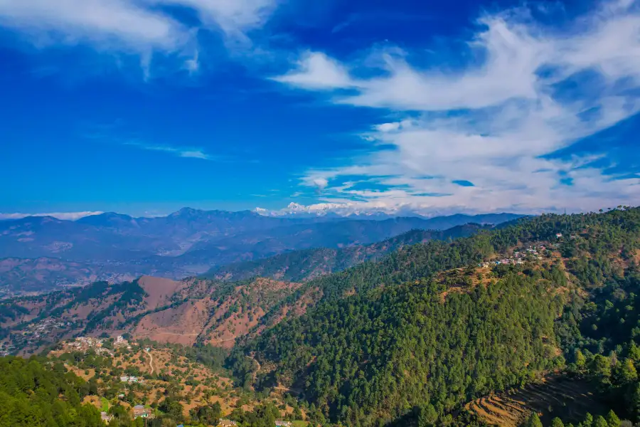 Edelweiss Estate: Primrose House, Ranikhet