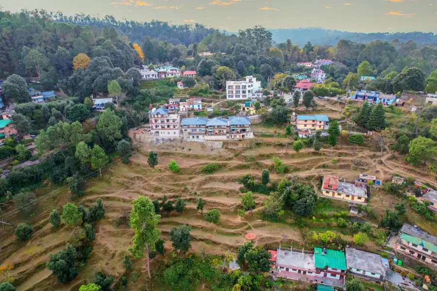 Edelweiss Estate: Primrose House, Ranikhet