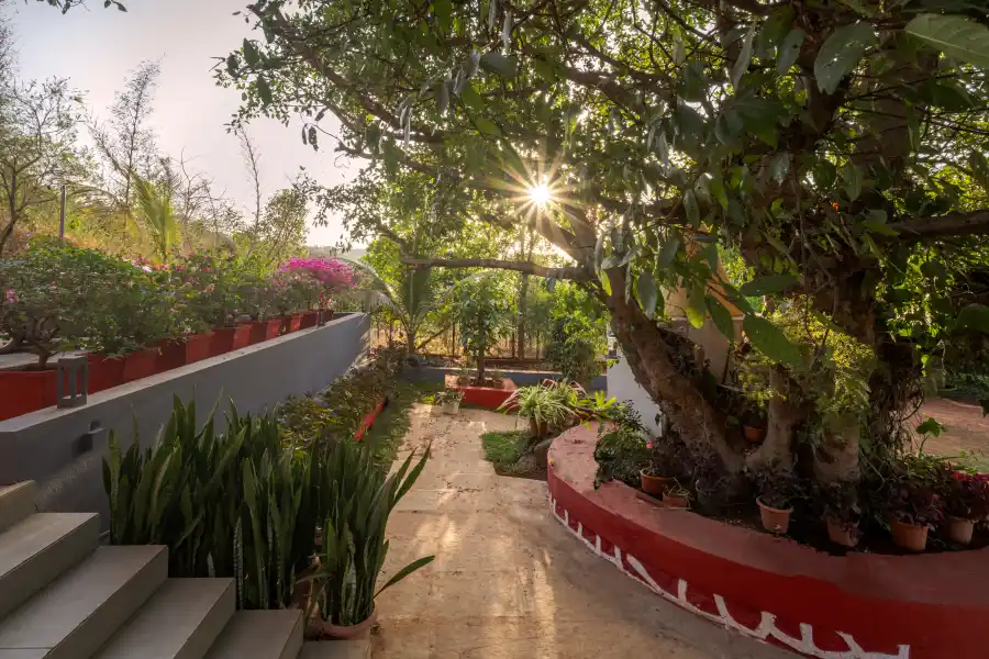 Eden's Pavilion, Pawna