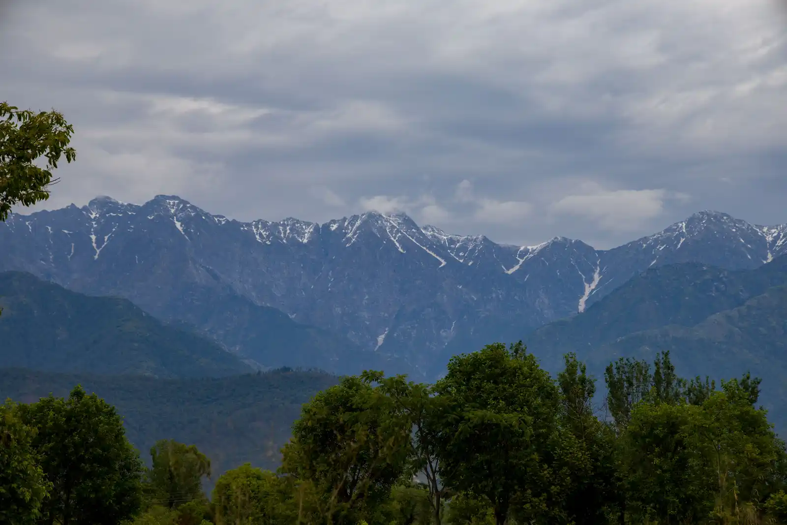 Esh Cottage Hazel, Dharamshala