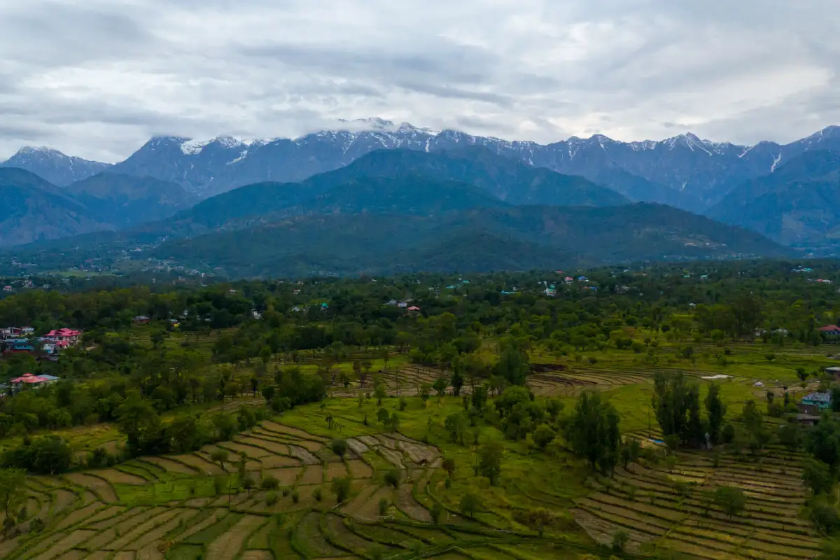 Esh Cottages  Resort Willow, Dharamshala