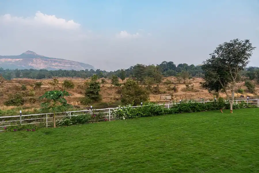 Euphoria, Karjat