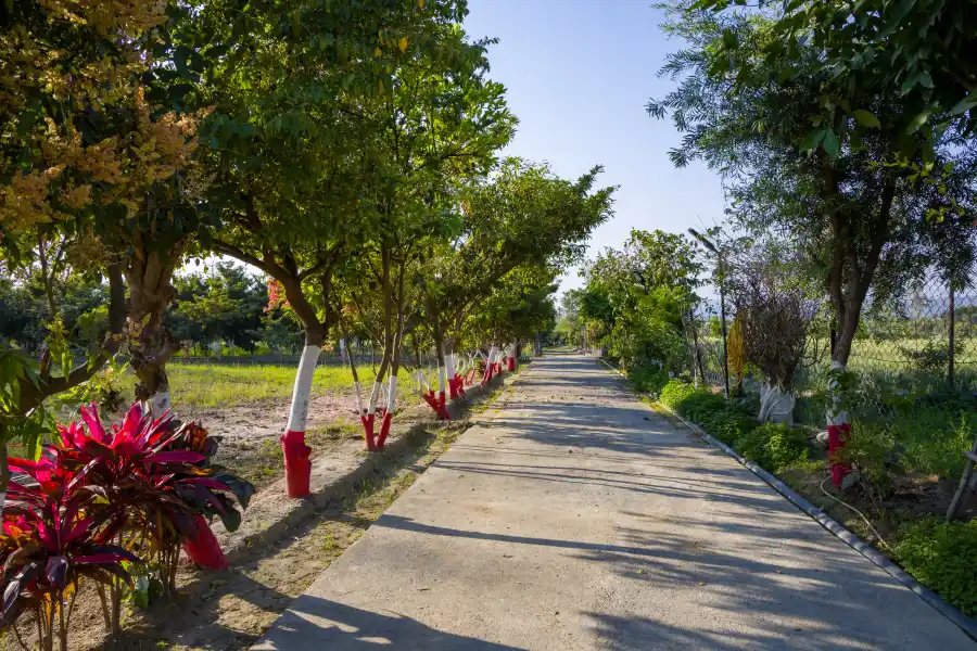 Farm Naturelle, Jim Corbett