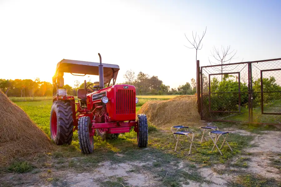 Farm Naturelle, Jim Corbett