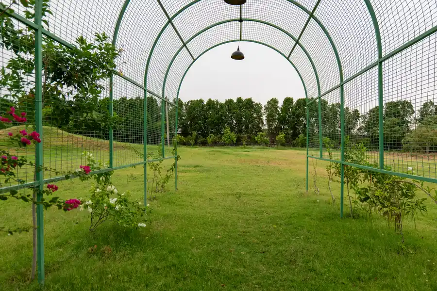 Fernwood, Jaipur